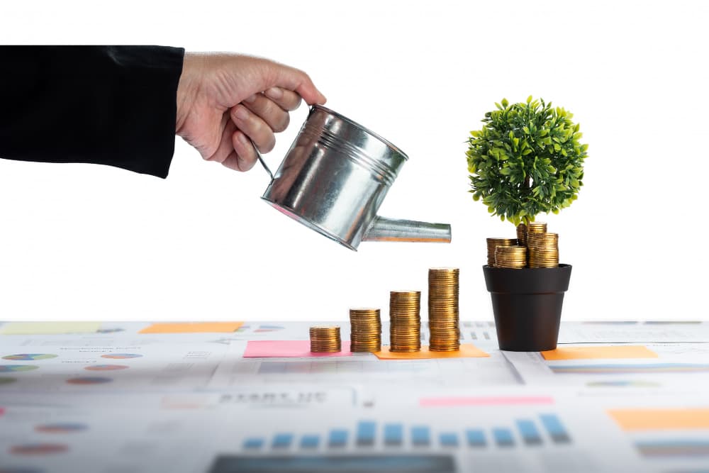 Finansal Okuryazarlık, Bütçe Yönetimi ve Tasarruf Tüyoları Görsel