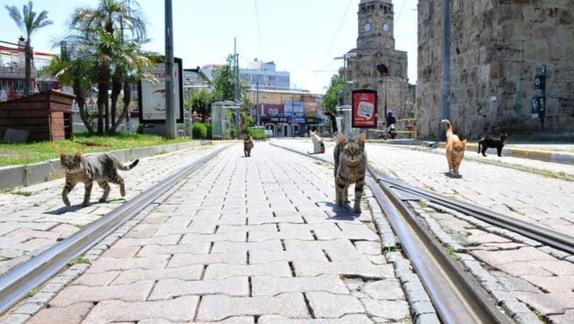 Aktif Hayatta Sosyal Mesafe Nasıl Korunmalıdır?